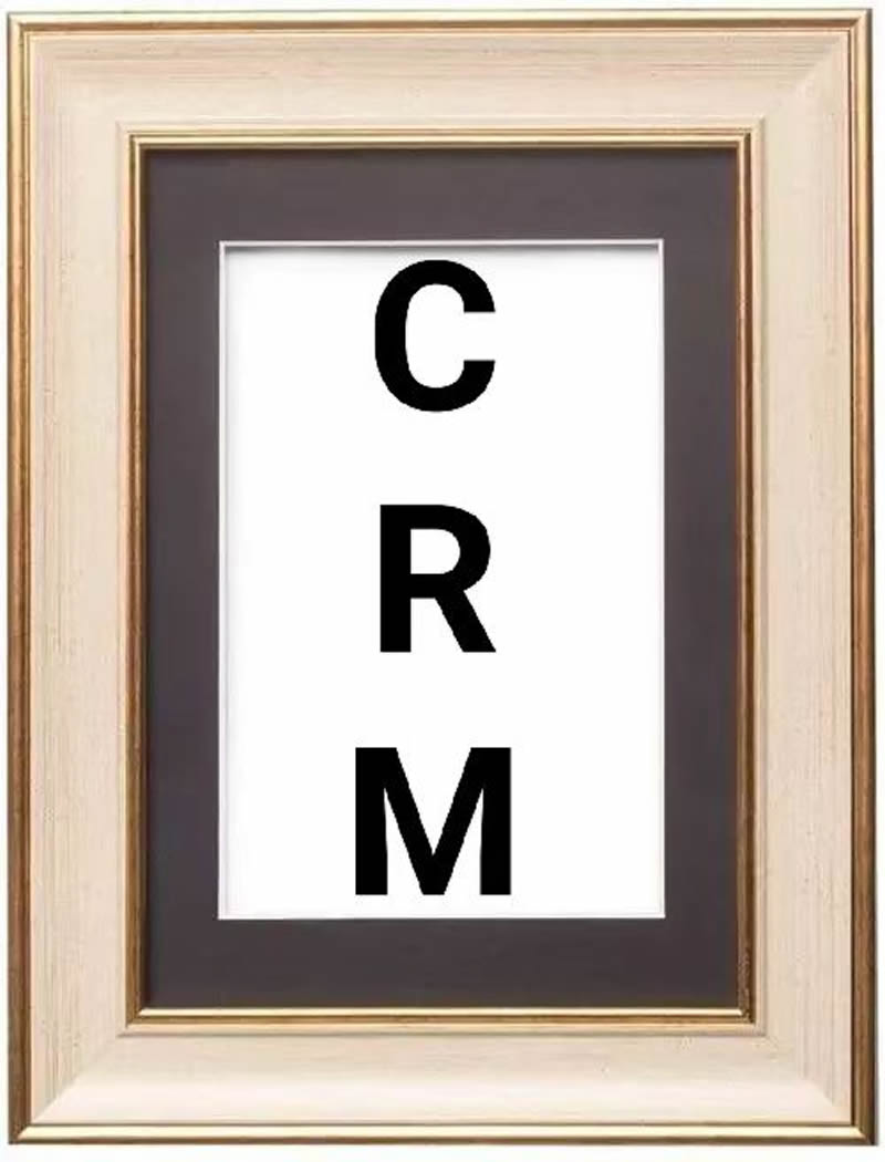 CRM实施人员的主要任务